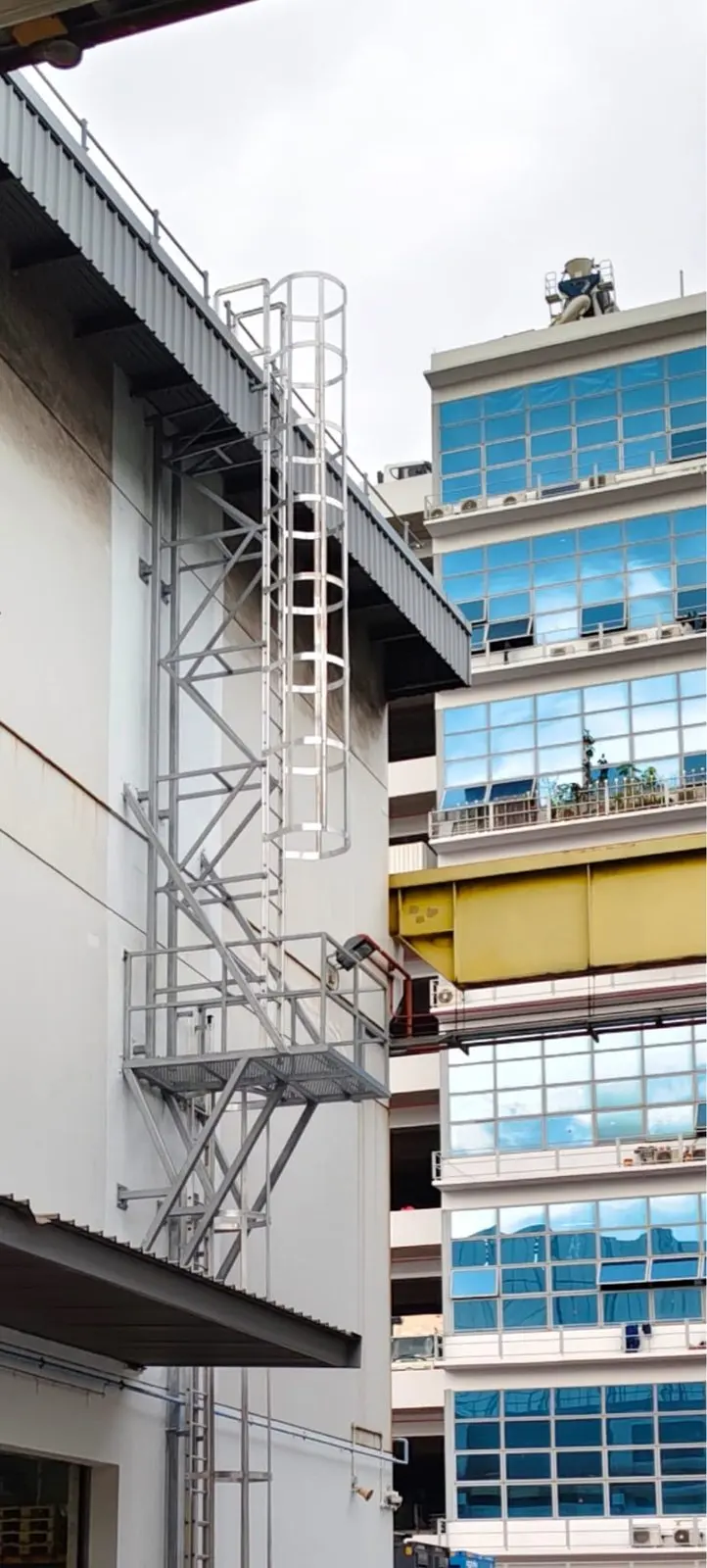 Tall view of the upper cat ladder flight at Buroh Street with the safety hoop cage and roof landing visible against neighbouring industrial buildings