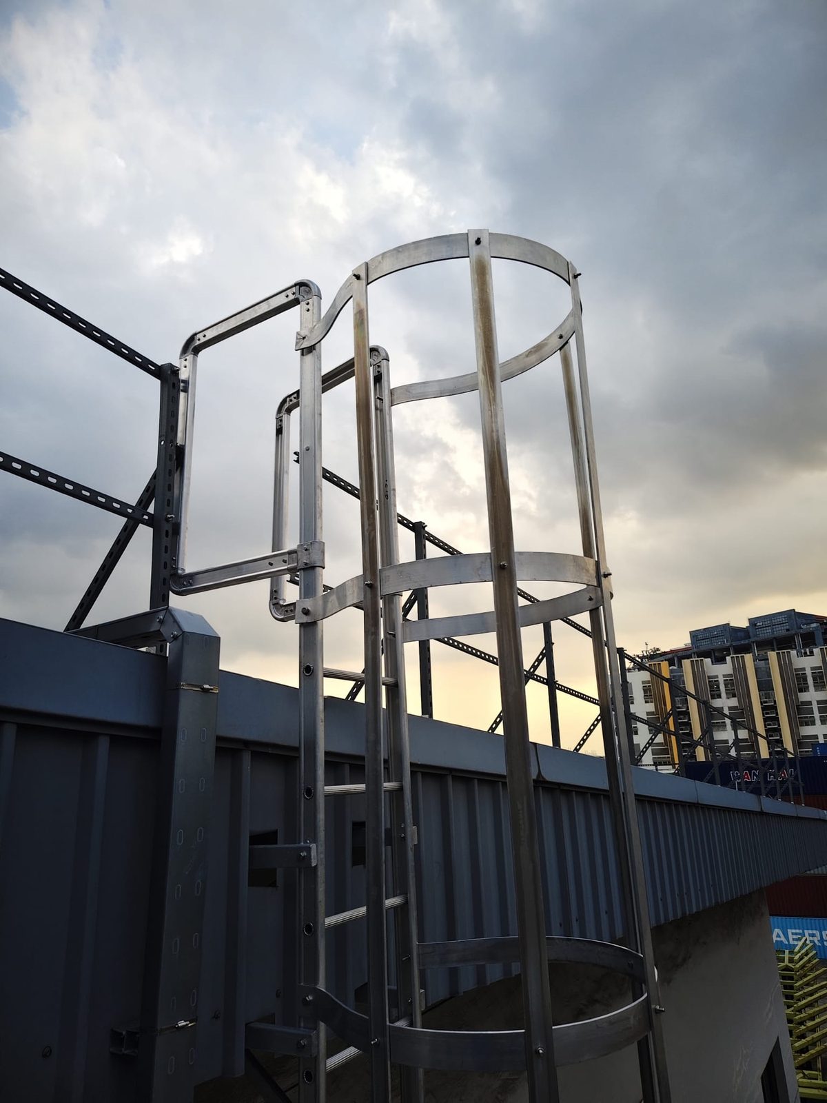 Top of the upper cat ladder at Buroh Street showing the hoop cage exit and stainless-finish ladder rails at the roof landing