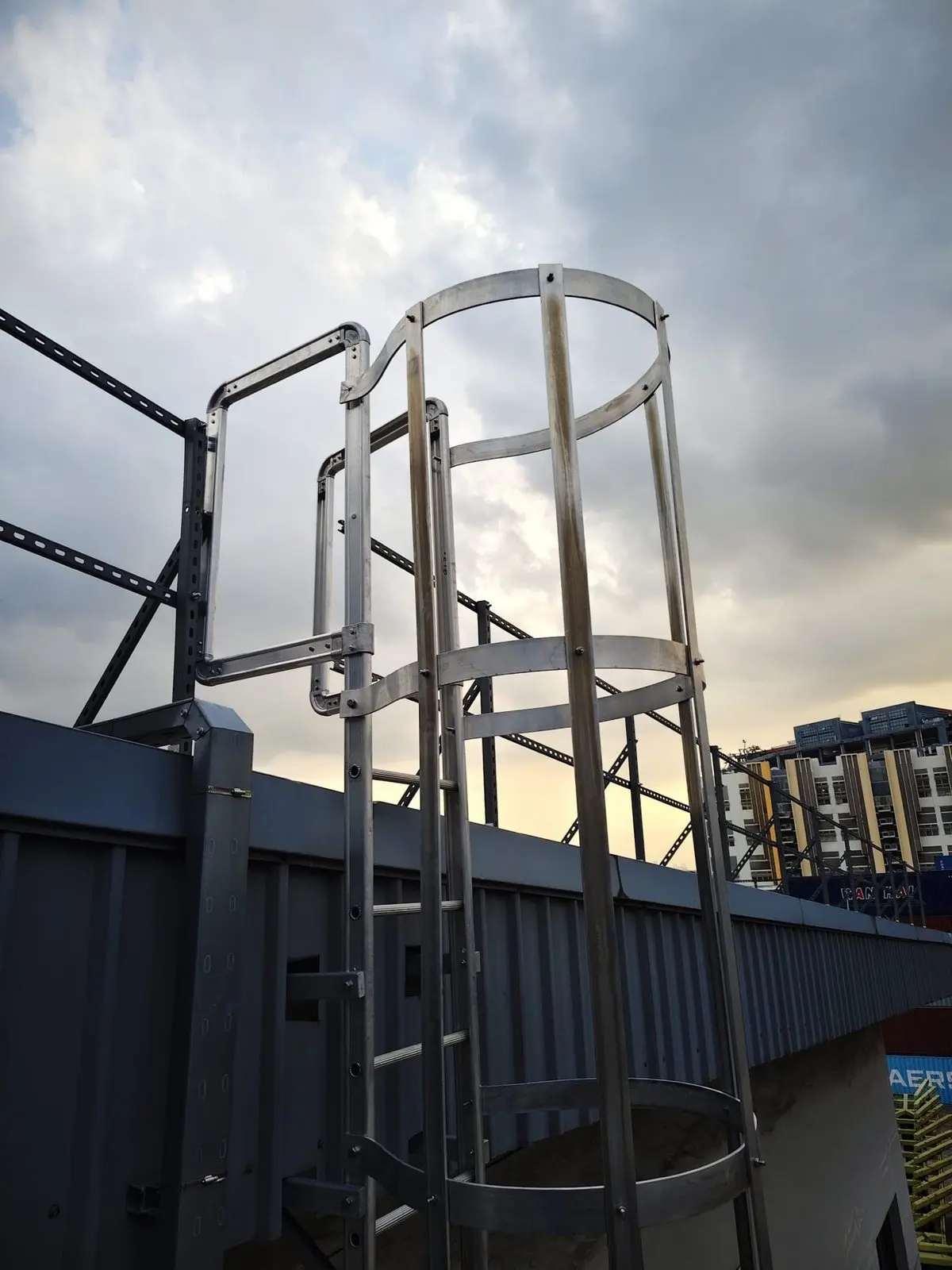 Top of the upper cat ladder at Buroh Street showing the hoop cage exit and stainless-finish ladder rails at the roof landing