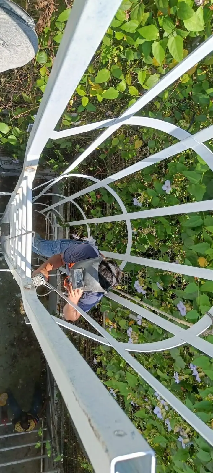 Roof access cat ladder installation used for SCDF and solar access discussion