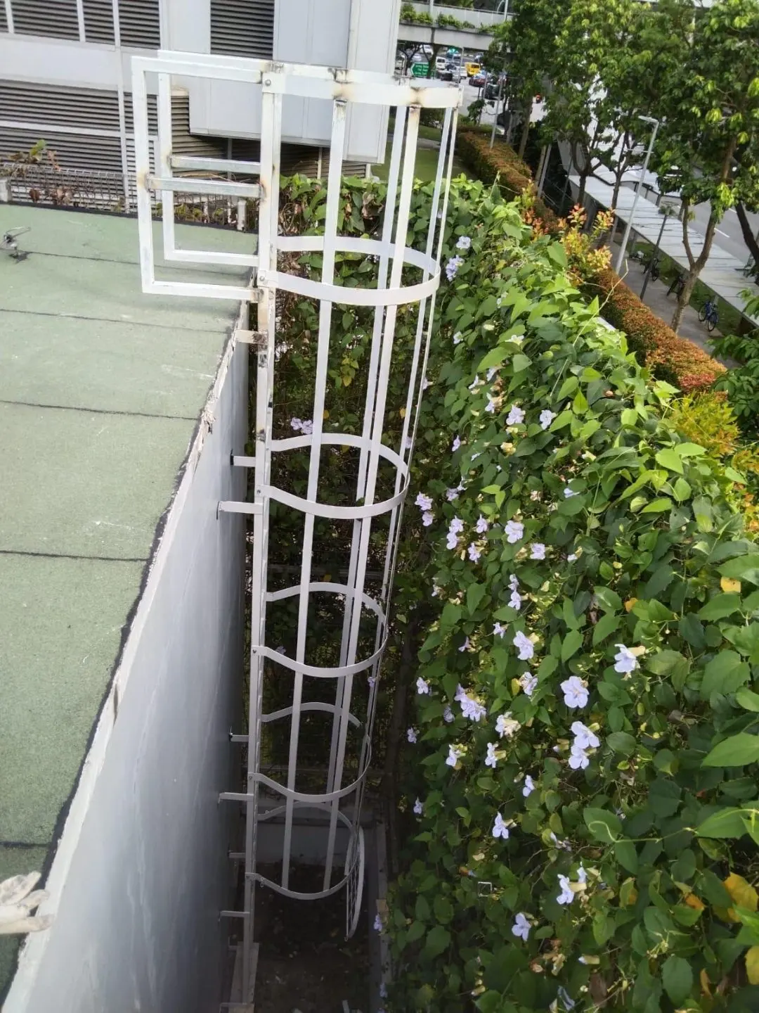 Top landing and exit detail of the M&E ancillary cat ladder at Ng Teng Fong Hospital