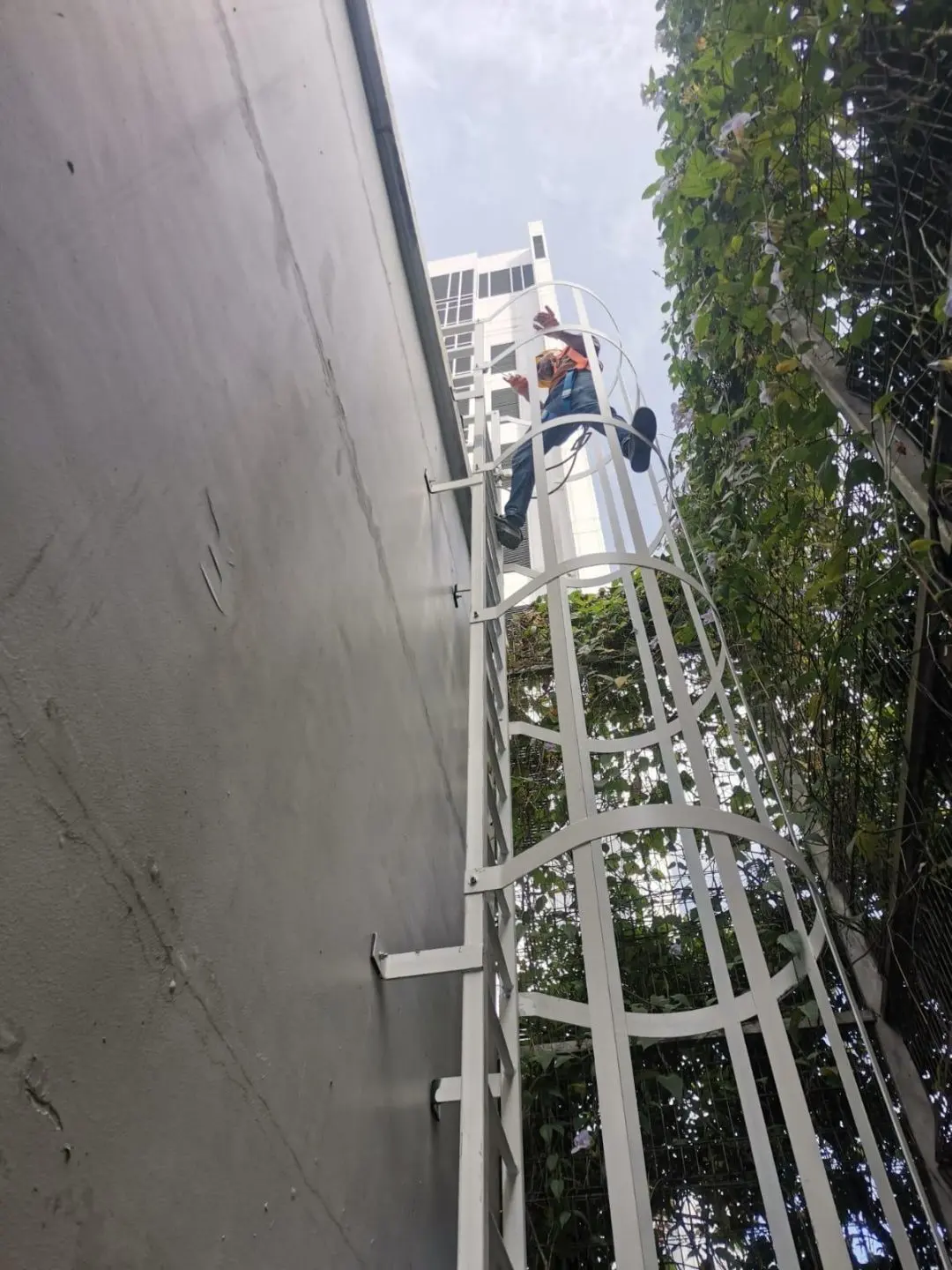 Lower section and base anchorage of the Ng Teng Fong Hospital M&E ancillary cat ladder