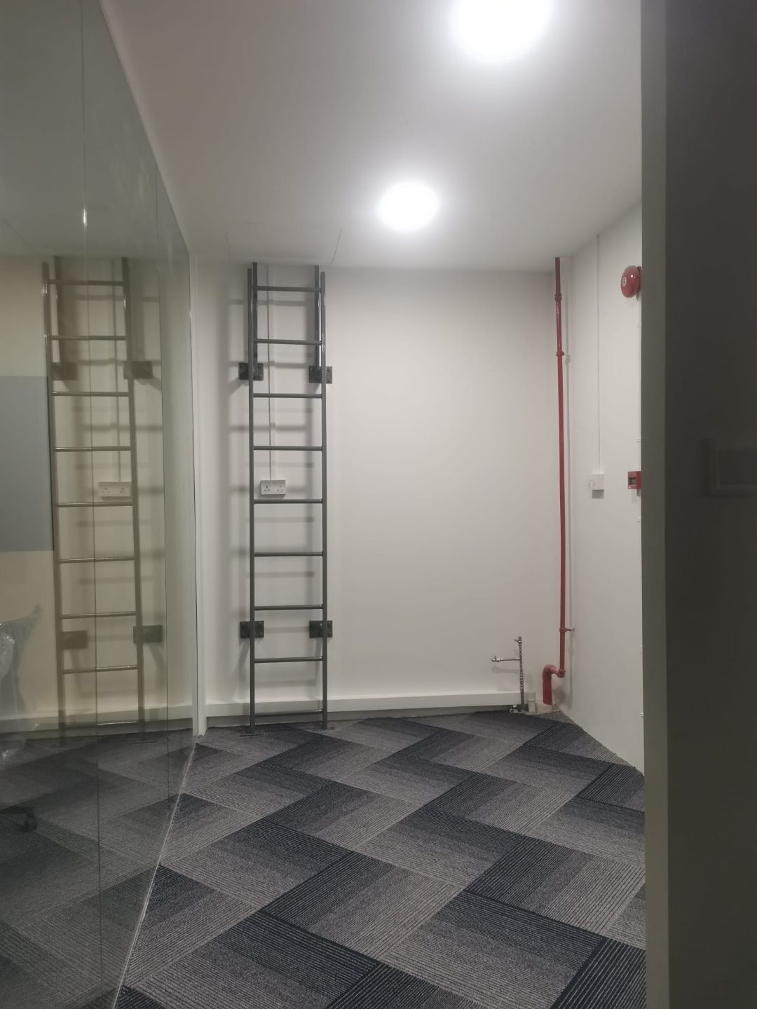 Wall-mounted cat ladder secured to the interior wall at Tuas View, viewed through glass partition