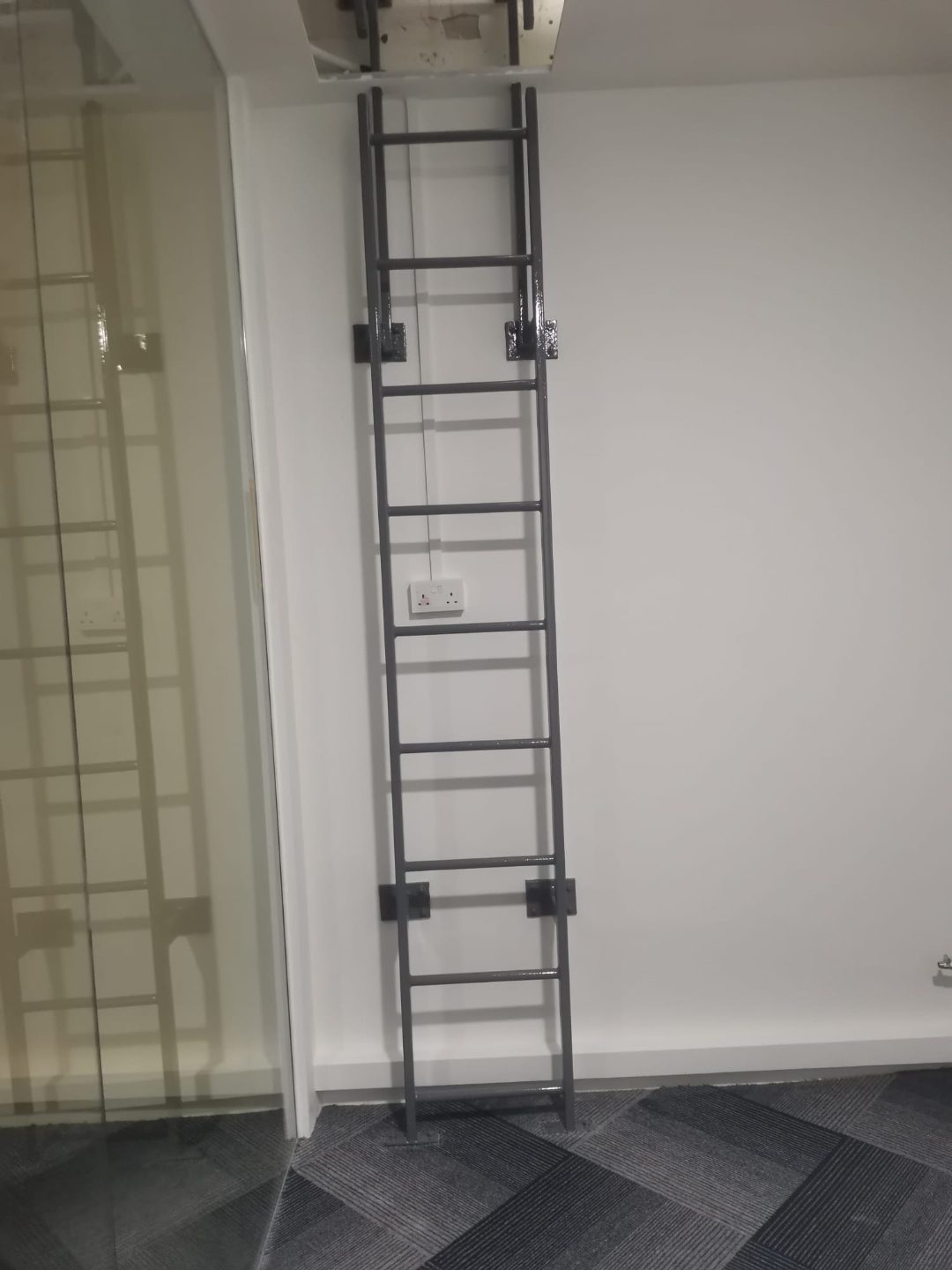 Full-height view of the wall-fixed cat ladder at Tuas View showing top and bottom mounting brackets