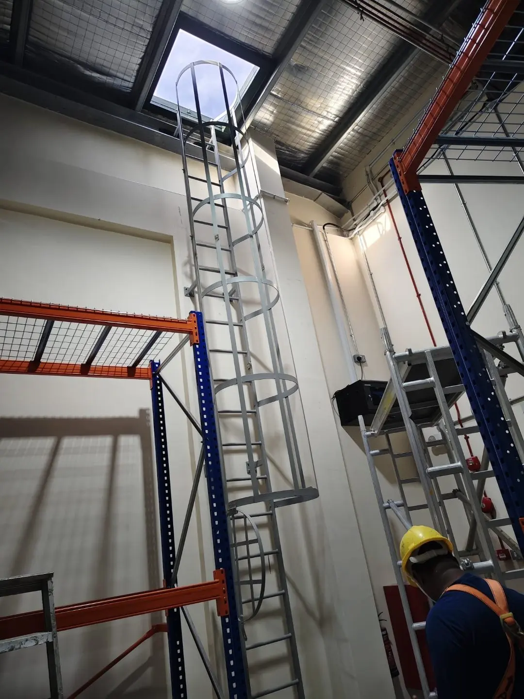 Interior cat ladder at Wan Lee rising between racking to the underside of the roof access opening