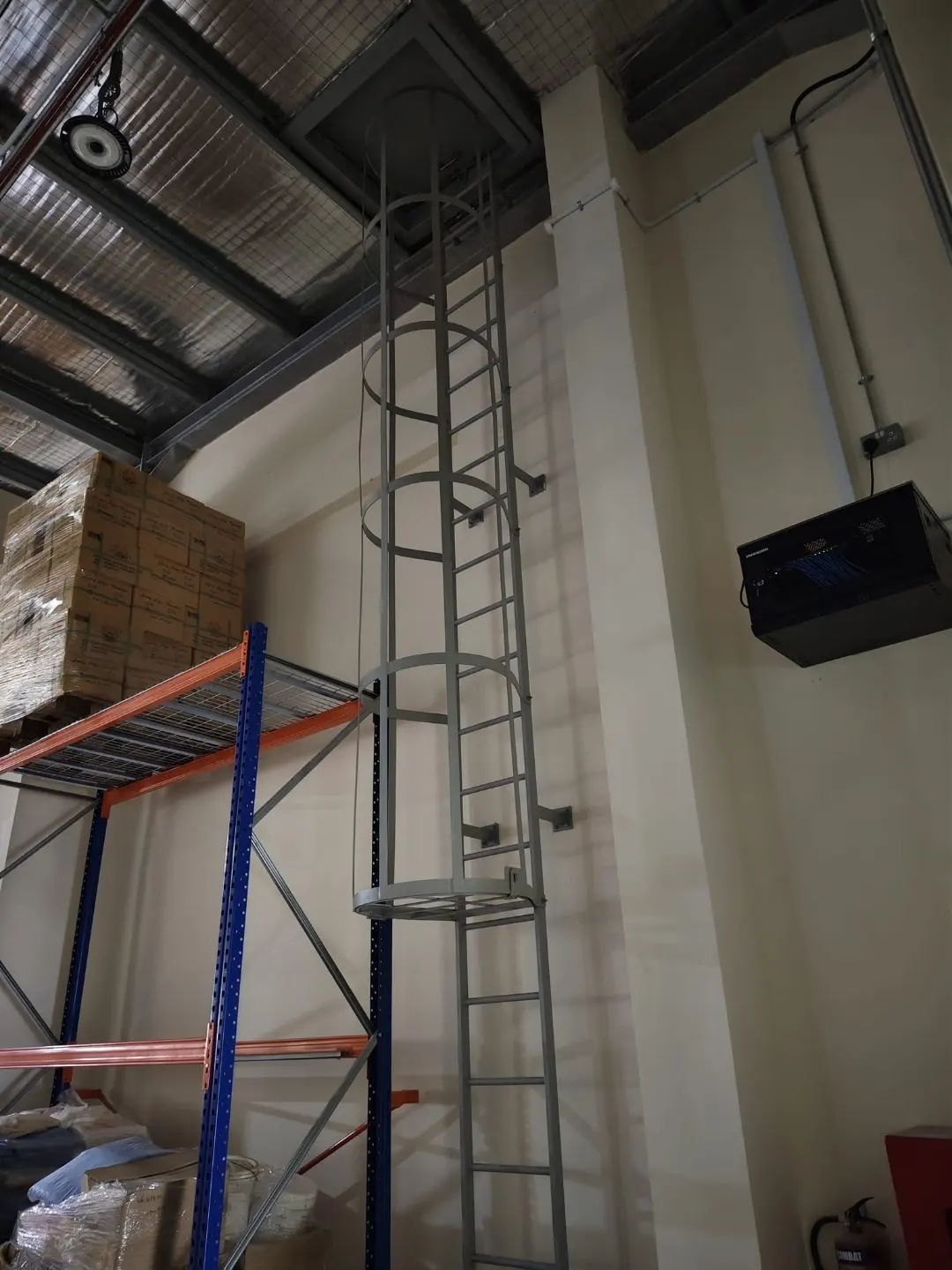 Full-height view of the Wan Lee interior cat ladder with hoop cage along the climb